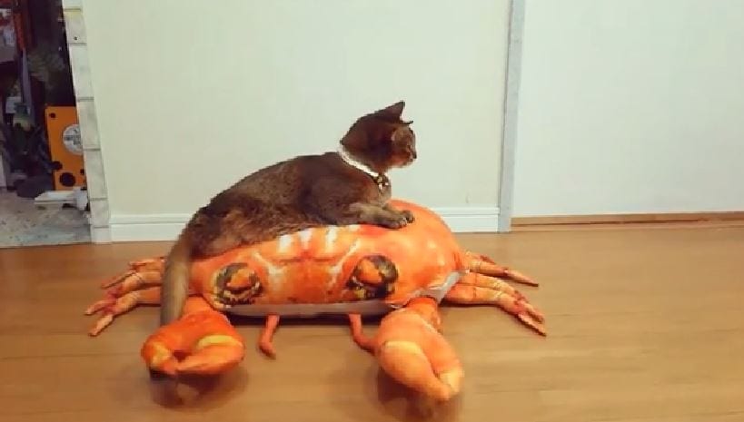 Crab Car