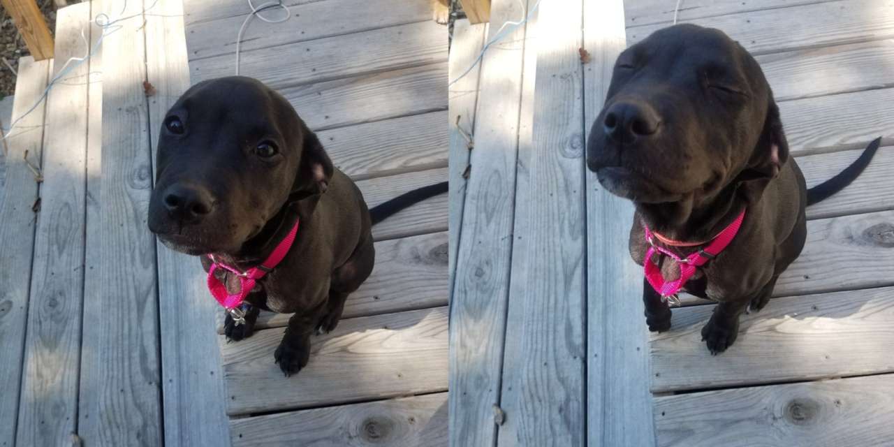 Before and after she was told a good girl