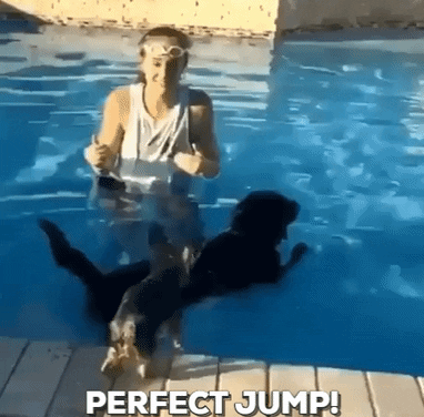 Perfect jump
