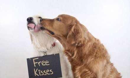 Who Want Free Kisses?