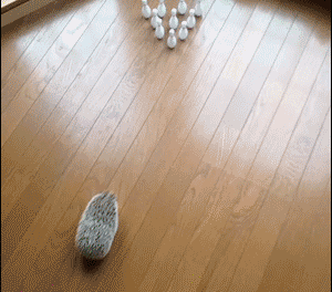 Hedgehog Bowling