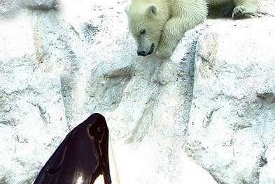 What’s up!