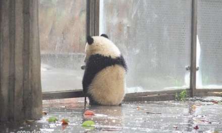 Raining makes me sad