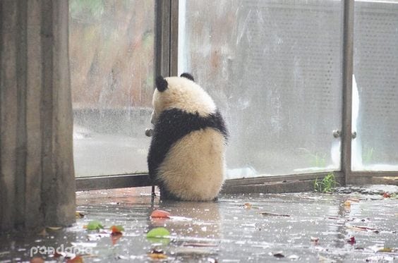 Raining makes me sad