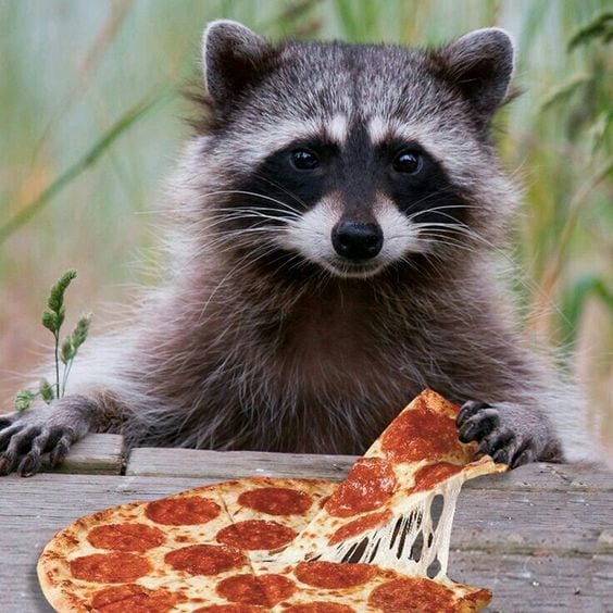 You Wanna A Slice Too?