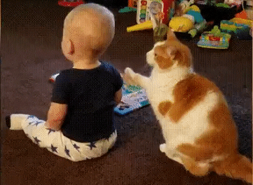 Hey dude, play with me