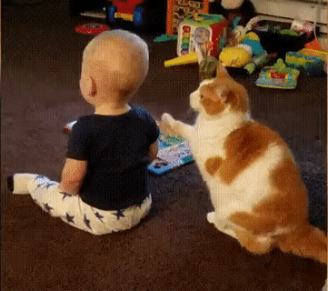 Hey dude, play with me