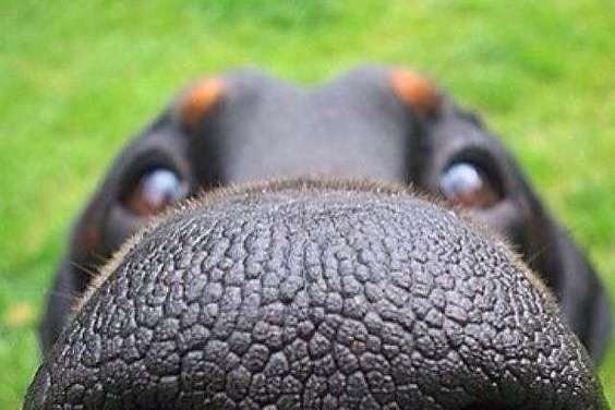 Oiiiiiiiiiiiiiiiii!