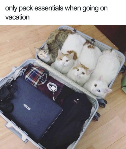 Only pack essentials when going on vacation