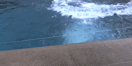 SUP!