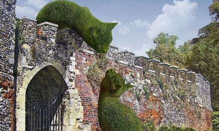 British Artist Creates Beautiful Giant Cats Sculpted From Bushes