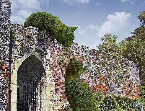 British Artist Creates Beautiful Giant Cats Sculpted From Bushes