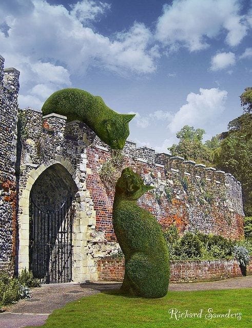 British Artist Creates Beautiful Giant Cats Sculpted From Bushes