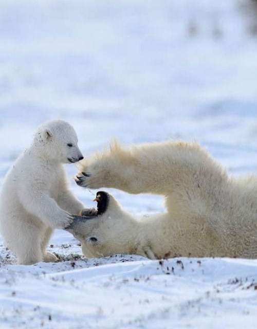 Time for a dental checkup