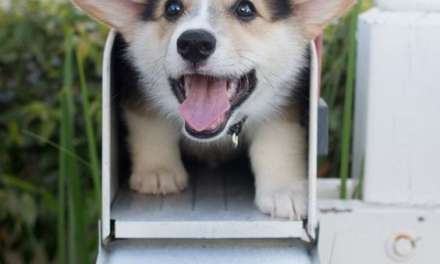 You’ve got mail!