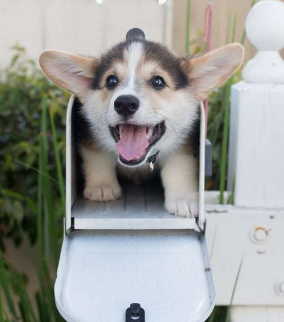 You’ve got mail!