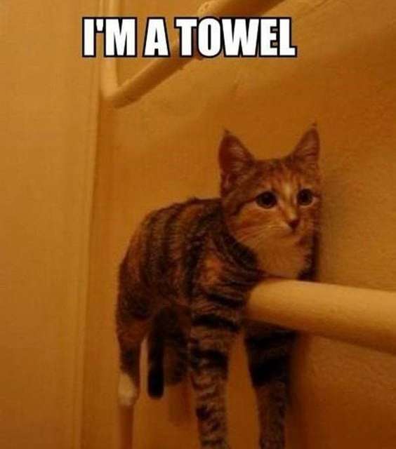 I am a towel