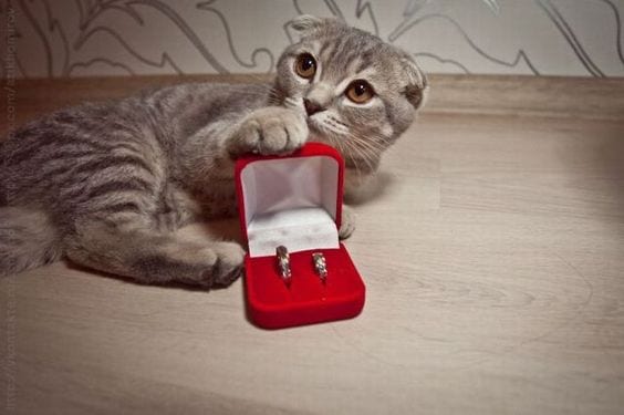 Will you marry me?