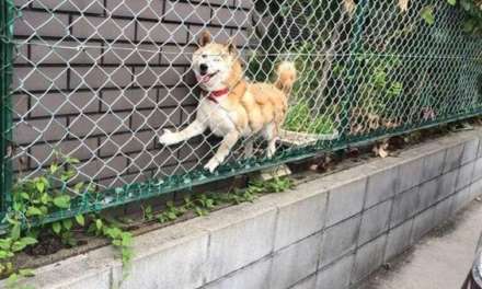 Help! Somebody get me out!