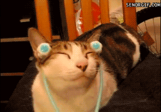 Cat enjoying a face massage