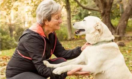 Top 10 Dog Breeds Make Good Company for Seniors