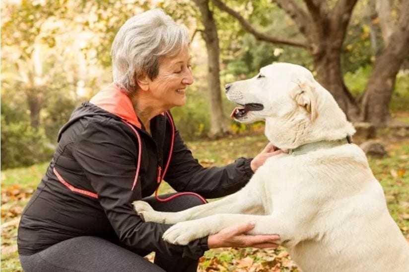 Top 10 Dog Breeds Make Good Company for Seniors