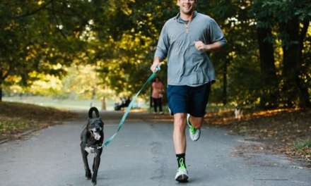 The 10 Best Dog Breeds for Runners