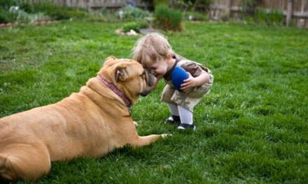 9 Best Pets for Your Kids