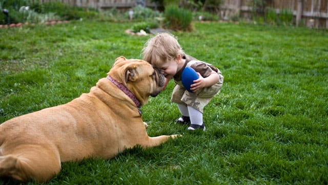 9 Best Pets for Your Kids