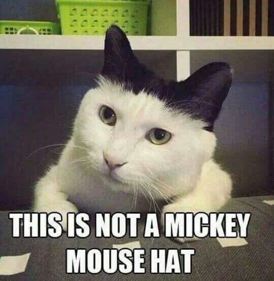 This is not a Micky Mouse hat