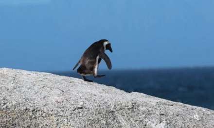 Are You Up For Any Adventuring? I am!