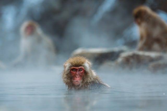 NO PICTURES! PRIVATE HOTSPRING!