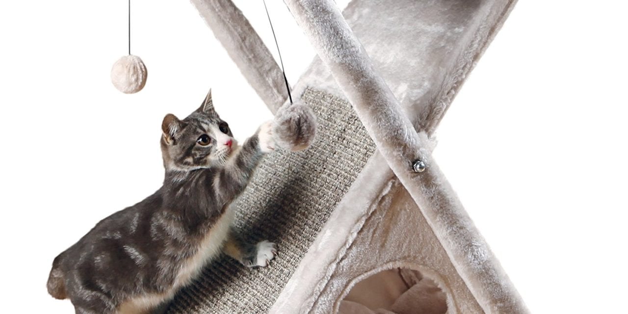 Top 10 Best Cat House for Your Important One
