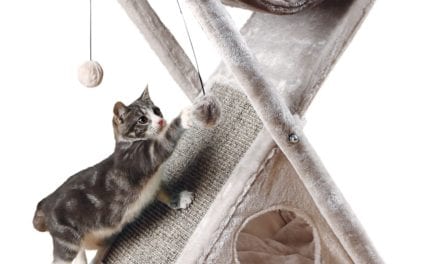 Top 10 Best Cat House for Your Important One