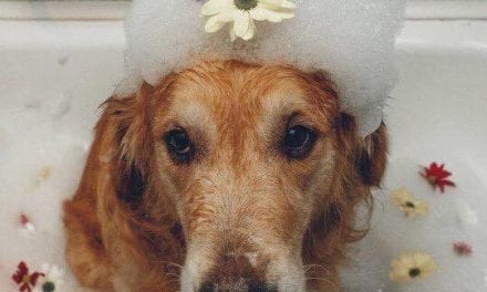 Flower Crown