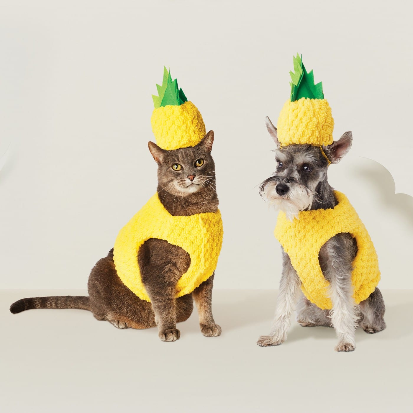 Dog And Cat Costumes
 30 Dog and Cat Halloween Dress up Ideas 2020