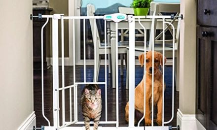 10 Best Indoor Pet Gate to Keep EVERYBODY Safe