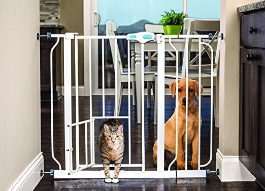 10 Best Indoor Pet Gate to Keep EVERYBODY Safe