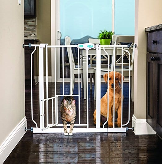 10 Best Indoor Pet Gate to Keep EVERYBODY Safe