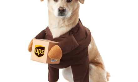 30 Dog and Cat Halloween Dress-up Ideas 2020