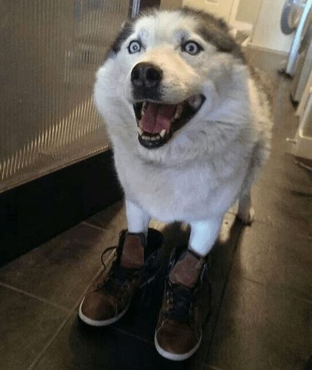 So Happy with His New Shoes