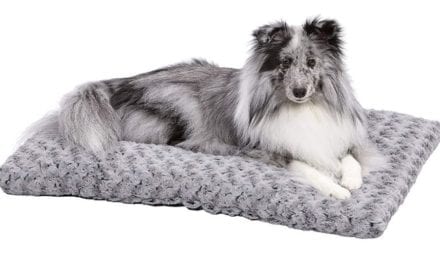 The 8 Best Warmer Dog Beds To Buy