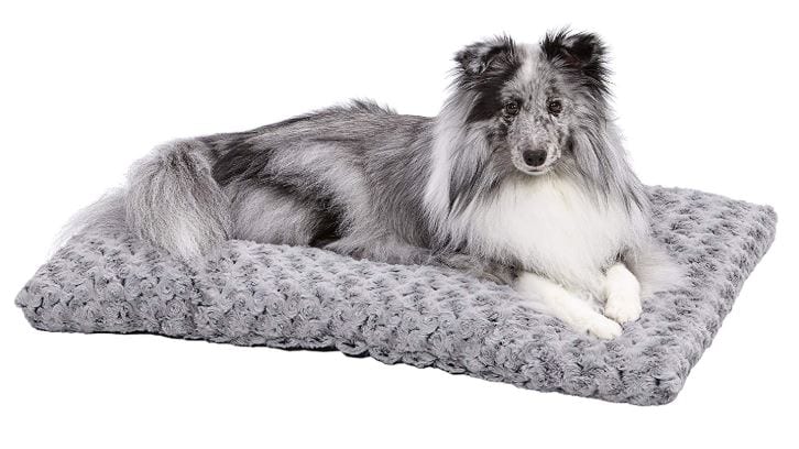 The 8 Best Warmer Dog Beds To Buy