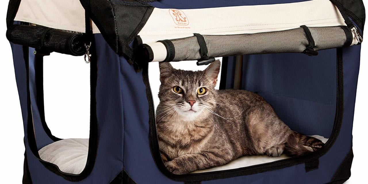 cat carrier for airplane travel