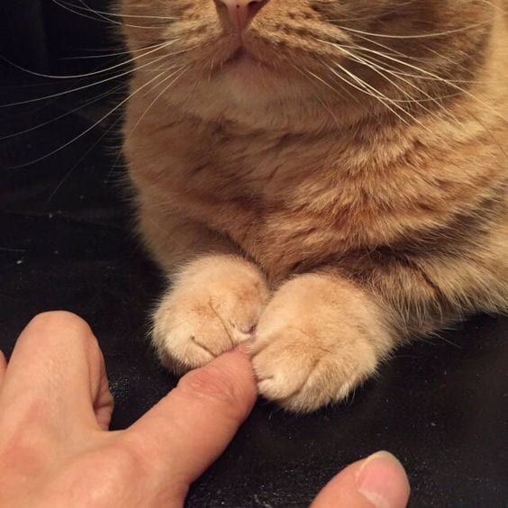 Your hand is in mine