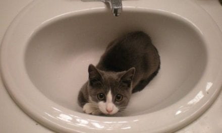 The sink is in use