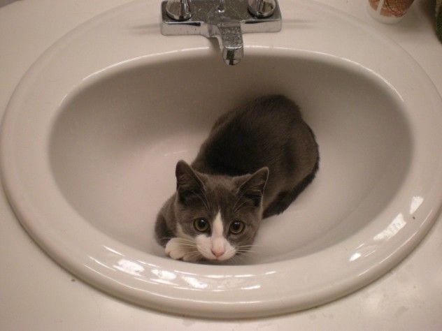 The sink is in use