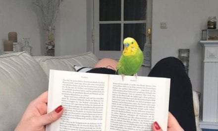 Watch Mom Reading Book