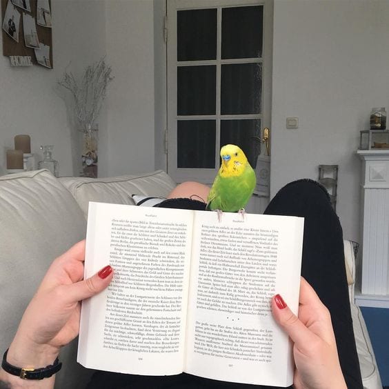 Watch Mom Reading Book
