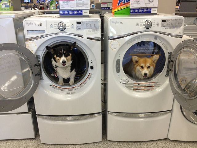 We are ready for a wash